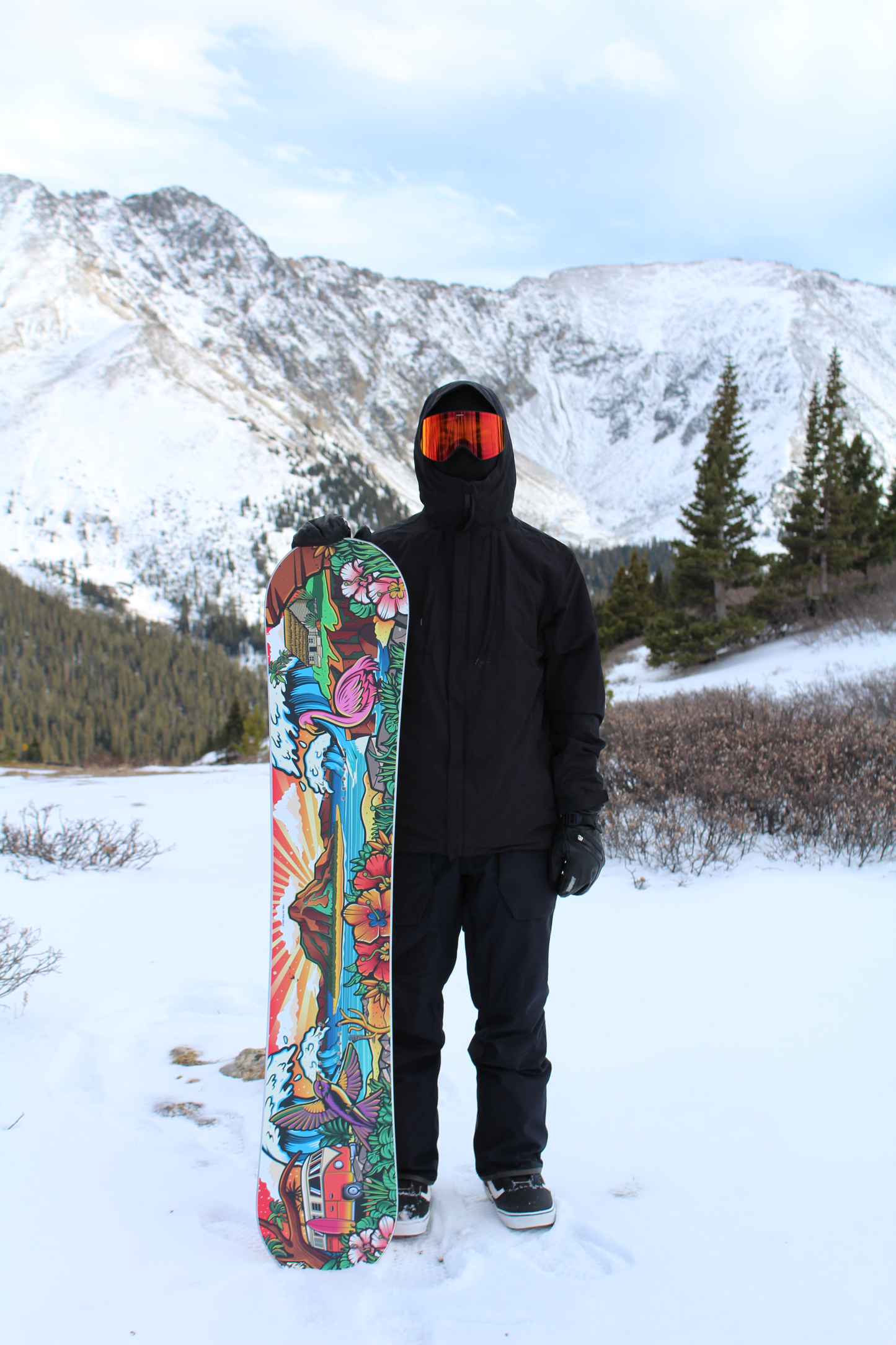 "Paradise" Snowboard 2024